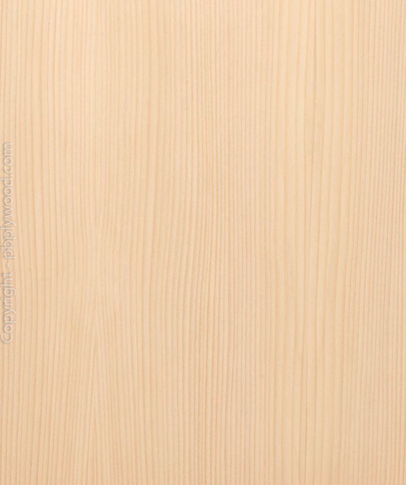 Silver Fir Veneered Birch Plywood - Peter Benson Plywood Ltd